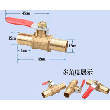 雙頭中12小球閥